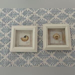 Sara White Double Frame with Seashell Art